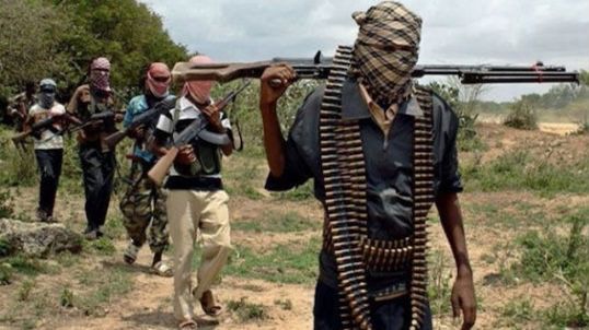 Nigeria, banda armata rapisce 73 persone in una scuola. Ancora attive le ricerche.